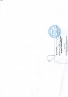 ДОПОЛНЕНИЯ И ИЗМЕНЕНИЯ № 196 