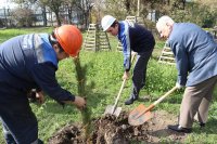 В ТОО «КАРАГАНДА ЭНЕРГОЦЕНТР» ЧЕСТВОВАЛИ ВЕТЕРАНОВ-ЭНЕРГЕТИКОВ КО ДНЮ ПОЖИЛОГО ЧЕЛОВЕКА