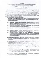 ОТЧЕТ ОБ ИСПОЛНЕНИИ ПРОЕКТА РАСШИРЕНИЯ ТЭЦ-3