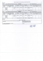 ОТЧЕТ О ВЫПОЛНЕНИИ ПЛАНА-ГРАФИКА ПРОЕКТА РАСШИРЕНИЯ