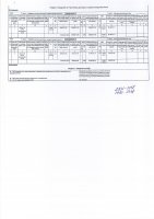 ОТЧЕТ О ВЫПОЛНЕНИИ ПЛАНА-ГРАФИКА ПРОЕКТА РАСШИРЕНИЯ