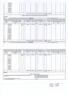 ОТЧЕТ О ВЫПОЛНЕНИИ ПЛАНА-ГРАФИКА ПРОЕКТА РАСШИРЕНИЯ