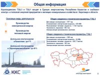 БЕКІТІЛГЕН ИНВЕСТИЦИЯЛЫҚ БАҒДАРЛАМАНЫҢ ОРЫНДАЛУЫ ЖӨНІНДЕГІ АҚПАРАТ