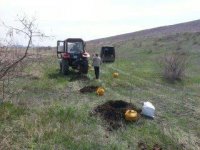 Проведен очередной этап природоохранных мероприятий. 