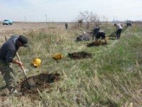 Проведен очередной этап природоохранных мероприятий. 