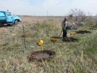 Проведен очередной этап природоохранных мероприятий. 