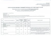 Отчет о ходе исполнения тарифной сметы в 2017 году