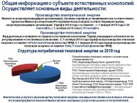 Отчет субъекта естественной монополии по итогам 2019 года