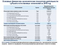 Отчет субъекта естественной монополии по итогам 2019 года