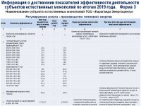 Отчет субъекта естественной монополии по итогам 2019 года