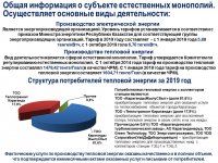 ОТЧЕТ ТОО "КАРАГАНДА ЭНЕРГОЦЕНТР" ПО ИТОГАМ 2019 ГОДА 